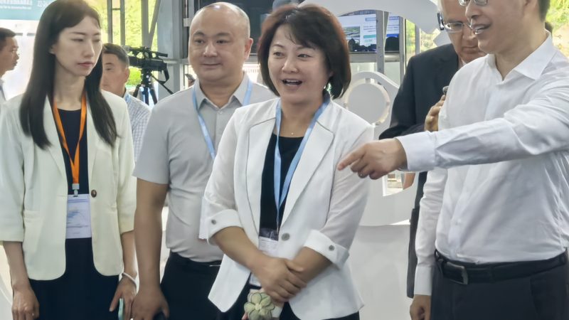 汽车用品质量哪家强？揭秘选购秘诀